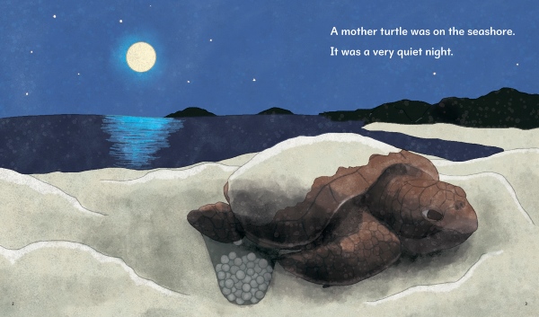 THE SEA TURTLE  E~K