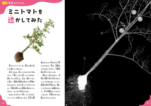 Ċwڂ XłȂłXPXPI(2) m