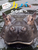 ƂāI JôЂ݂
