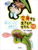 ϐg鐶̂(1) ϑԂn