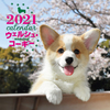 2021N 唻J_[ EFVER[M[