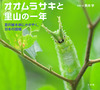 オオムラサキと里山の一年 夏の雑木林にかがやく、日本の国蝶