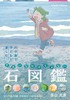 きれいなだけじゃない石図鑑 川や海で子どもと楽しむ