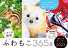 ӂ365 ₵̓߂J_[ 2023