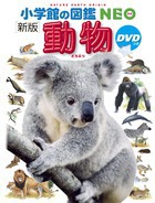 wق̐}NEO  kVŁl DVD