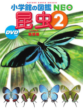 V wق̐}NEO 2 DVD n