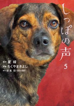 ۂ̐ 5