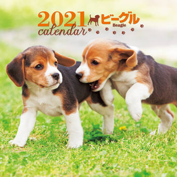 2021N 唻J_[ r[O