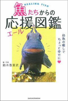 ̉iG[j}