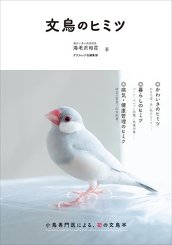 ̃q~c