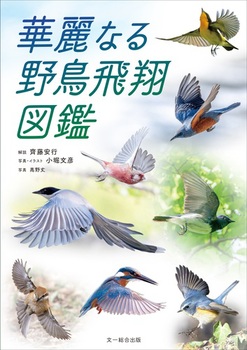 ؗȂ쒹Đ}