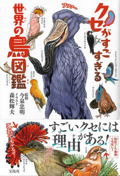 NZ E̒}