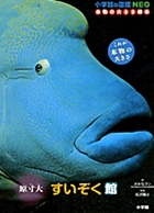 wق̐}NEO {̑傫G{ 傷