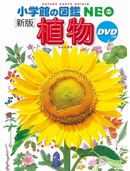 V wق̐}NEO A DVD