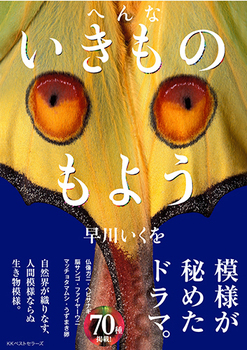 ւȂ̂悤