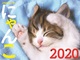 JTB̃J_[ ɂ 2020