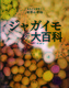 WKC̑S