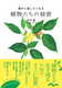 NɘbȂA̔閧