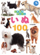 ̃Ao 100