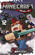 MINECRAFT`ẺʂĂւ̗` 12