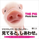 THE PIG Photo Book