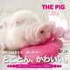 THE PIG Life