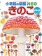 wق̐}NEO ̂ DVD