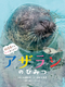 AUV̂Ђ݂