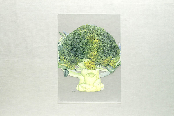 r^I NAt@C A4 ubR[iG{irIWiObYj̏i摜2