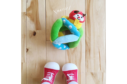 GhEC^[ ẑ RR Ȑi摜7