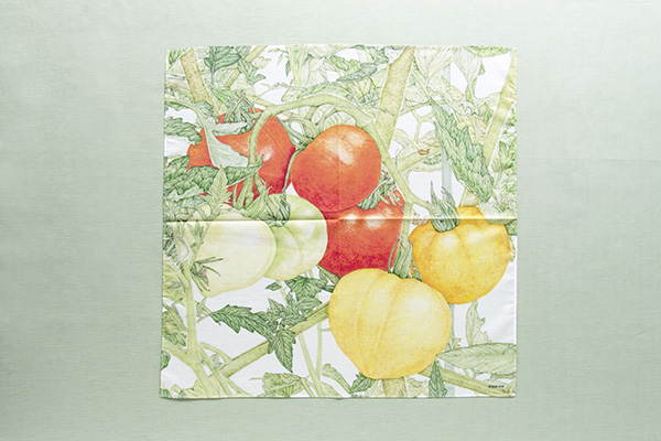 r^I nJ` g}giG{irIWiObYj̏i摜1