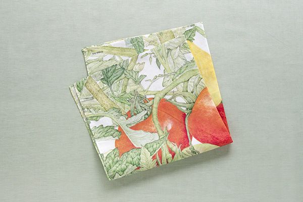 r^I nJ` g}giG{irIWiObYj̏i摜2