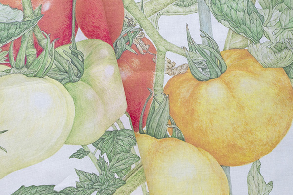 r^I nJ` g}giG{irIWiObYj̏i摜6