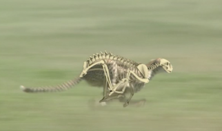 MOVE公式サイトではさらに多くのDVDサンプル映像をご覧いただけます